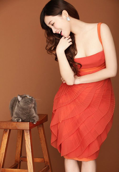 猫咪猫咪你在凶什么