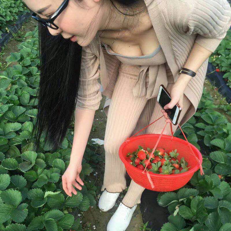 最爱摘草莓啦一定要星期六的早上货才多