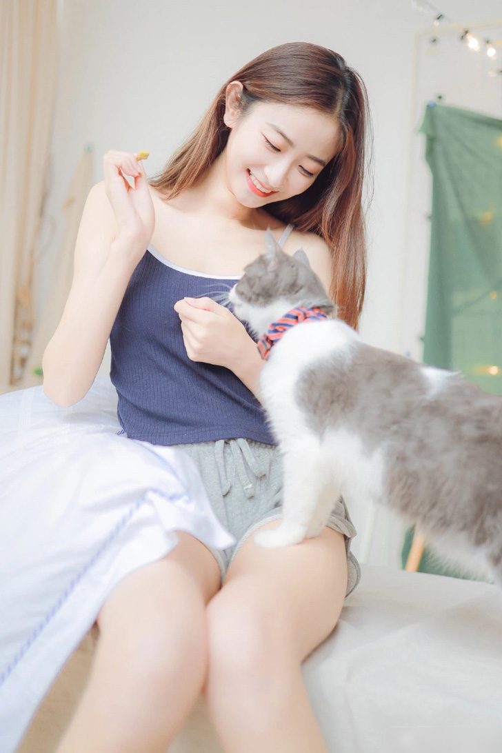猫和少女